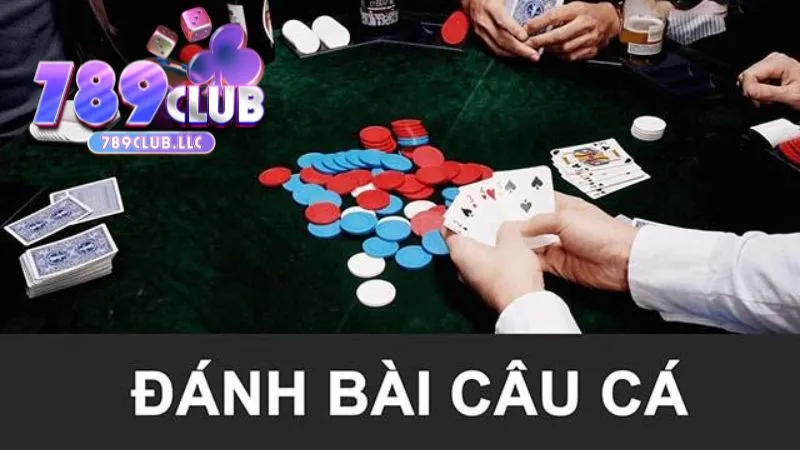 Mẹo tính điểm bài Câu Cá chuẩn từ cao thủ